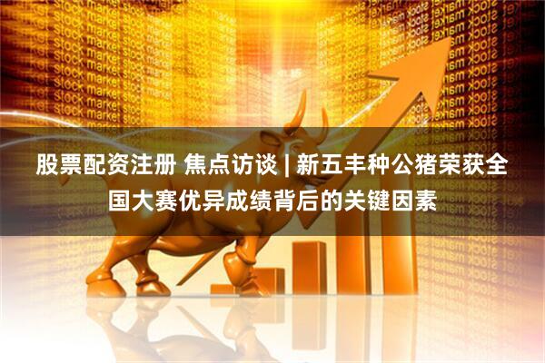 股票配资注册 焦点访谈 | 新五丰种公猪荣获全国大赛优异成绩背后的关键因素