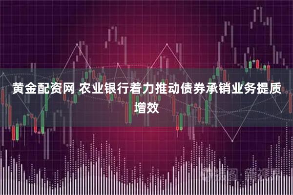 黄金配资网 农业银行着力推动债券承销业务提质增效