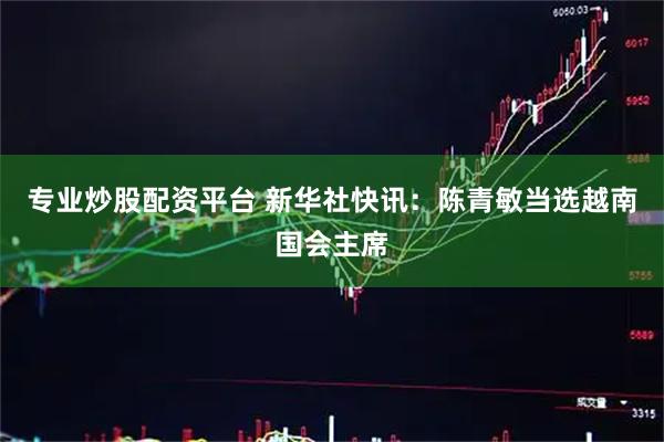 专业炒股配资平台 新华社快讯：陈青敏当选越南国会主席